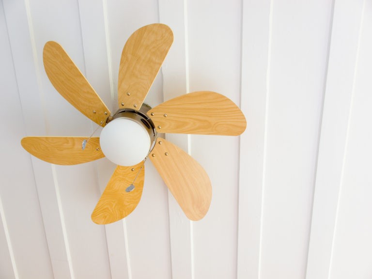 Design Trend Spotlight: Fun & Functional Ceiling Fans - Fusion Electric